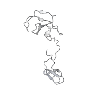 22294_6xre_I_v1-2
Structure of the p53/RNA polymerase II assembly