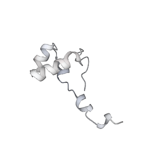22294_6xre_J_v1-1
Structure of the p53/RNA polymerase II assembly