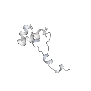 22294_6xre_J_v1-2
Structure of the p53/RNA polymerase II assembly