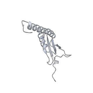 22294_6xre_K_v1-2
Structure of the p53/RNA polymerase II assembly