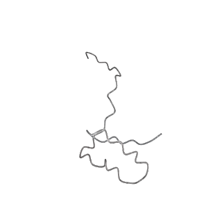 22294_6xre_L_v1-2
Structure of the p53/RNA polymerase II assembly