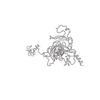 22294_6xre_M_v1-1
Structure of the p53/RNA polymerase II assembly