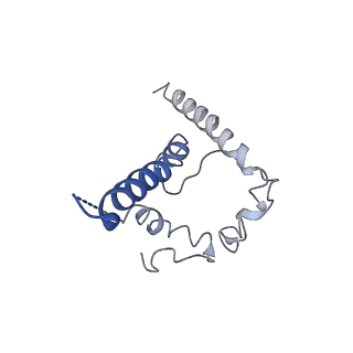 22295_6xrt_C_v1-2
Cryo-EM structure of SHIV-elicited RHA1.V2.01 in complex with HIV-1 Env BG505 DS-SOSIP.664