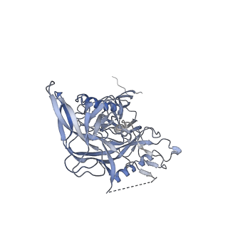 22295_6xrt_E_v1-2
Cryo-EM structure of SHIV-elicited RHA1.V2.01 in complex with HIV-1 Env BG505 DS-SOSIP.664