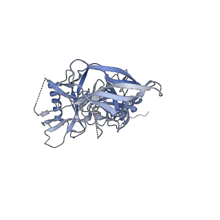 22295_6xrt_G_v1-2
Cryo-EM structure of SHIV-elicited RHA1.V2.01 in complex with HIV-1 Env BG505 DS-SOSIP.664