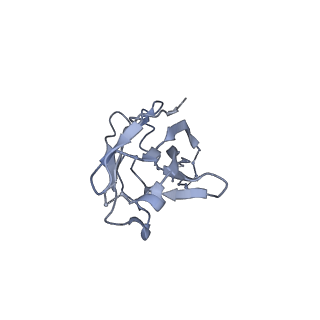 22295_6xrt_H_v1-2
Cryo-EM structure of SHIV-elicited RHA1.V2.01 in complex with HIV-1 Env BG505 DS-SOSIP.664