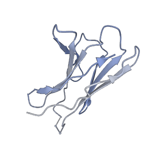 22295_6xrt_L_v1-2
Cryo-EM structure of SHIV-elicited RHA1.V2.01 in complex with HIV-1 Env BG505 DS-SOSIP.664