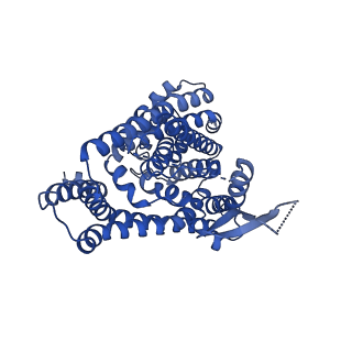 33407_7xr4_B_v1-0
Structure of human excitatory amino acid transporter 2 (EAAT2) in complex with glutamate