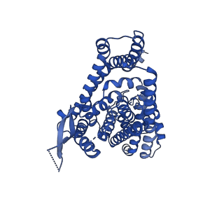 33407_7xr4_C_v1-0
Structure of human excitatory amino acid transporter 2 (EAAT2) in complex with glutamate