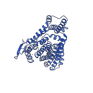 33408_7xr6_B_v1-0
Structure of human excitatory amino acid transporter 2 (EAAT2) in complex with WAY-213613