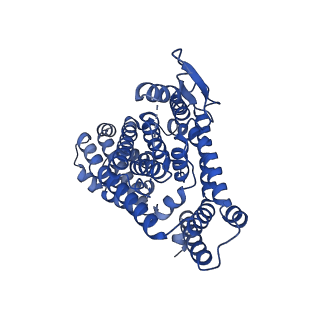 33408_7xr6_C_v1-0
Structure of human excitatory amino acid transporter 2 (EAAT2) in complex with WAY-213613