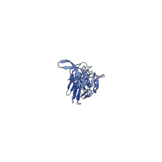 22302_6xsk_C_v1-3
Cryo-EM Structure of Vaccine-Elicited Rhesus Antibody 789-203-3C12 in Complex with Stabilized SI06 (A/Solomon Islands/3/06) Influenza Hemagglutinin Trimer