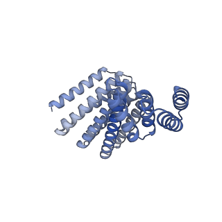 22305_6xss_A_v1-1
CryoEM structure of designed helical fusion protein C4_nat_HFuse-7900