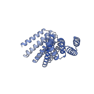 22305_6xss_A_v1-2
CryoEM structure of designed helical fusion protein C4_nat_HFuse-7900