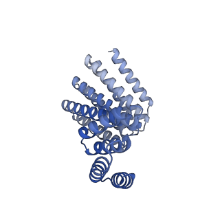 22305_6xss_B_v1-1
CryoEM structure of designed helical fusion protein C4_nat_HFuse-7900