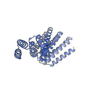22305_6xss_C_v1-1
CryoEM structure of designed helical fusion protein C4_nat_HFuse-7900