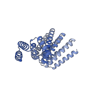 22305_6xss_C_v1-2
CryoEM structure of designed helical fusion protein C4_nat_HFuse-7900