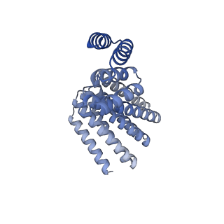 22305_6xss_D_v1-1
CryoEM structure of designed helical fusion protein C4_nat_HFuse-7900