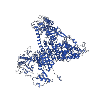 33424_7xse_A_v1-2
RNA polymerase II elongation complex transcribing a nucleosome (EC42)