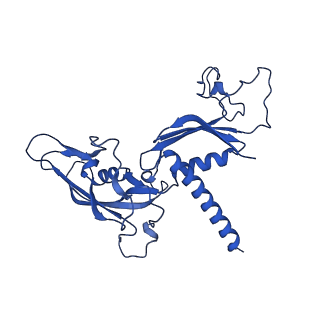 33424_7xse_C_v1-2
RNA polymerase II elongation complex transcribing a nucleosome (EC42)