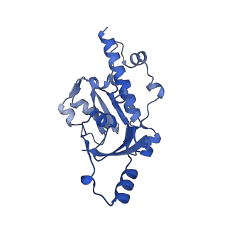 33424_7xse_E_v1-2
RNA polymerase II elongation complex transcribing a nucleosome (EC42)