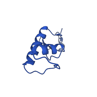 33424_7xse_F_v1-2
RNA polymerase II elongation complex transcribing a nucleosome (EC42)