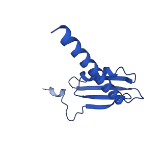 33424_7xse_K_v1-2
RNA polymerase II elongation complex transcribing a nucleosome (EC42)