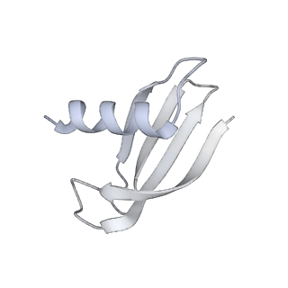 33424_7xse_M_v1-2
RNA polymerase II elongation complex transcribing a nucleosome (EC42)