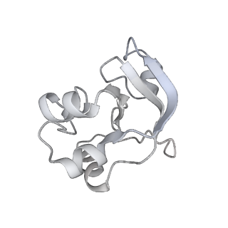 33424_7xse_V_v1-2
RNA polymerase II elongation complex transcribing a nucleosome (EC42)