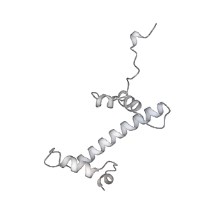 33424_7xse_c_v1-2
RNA polymerase II elongation complex transcribing a nucleosome (EC42)