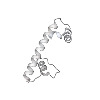 33424_7xse_f_v1-2
RNA polymerase II elongation complex transcribing a nucleosome (EC42)