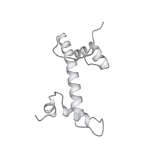 33424_7xse_g_v1-2
RNA polymerase II elongation complex transcribing a nucleosome (EC42)