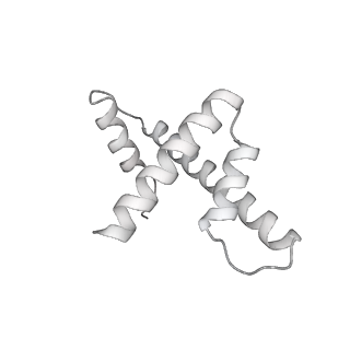 33424_7xse_h_v1-2
RNA polymerase II elongation complex transcribing a nucleosome (EC42)