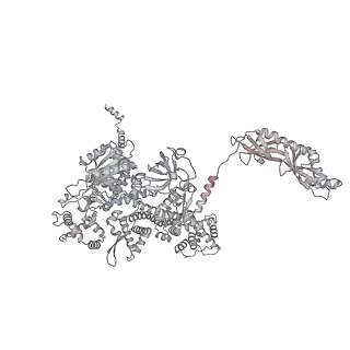 33424_7xse_m_v1-2
RNA polymerase II elongation complex transcribing a nucleosome (EC42)