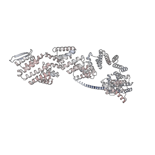 33424_7xse_q_v1-2
RNA polymerase II elongation complex transcribing a nucleosome (EC42)