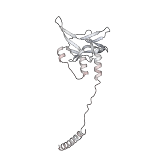 33424_7xse_u_v1-2
RNA polymerase II elongation complex transcribing a nucleosome (EC42)