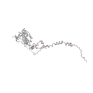 33424_7xse_v_v1-2
RNA polymerase II elongation complex transcribing a nucleosome (EC42)