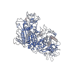 33430_7xsp_B_v1-1
Structure of gRAMP-target RNA