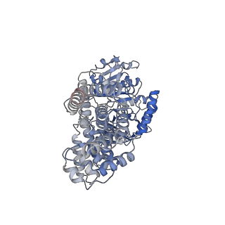 33432_7xsr_C_v1-1
Structure of Craspase-target RNA