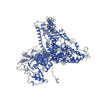 33436_7xsx_A_v1-2
RNA polymerase II elongation complex transcribing a nucleosome (EC49)