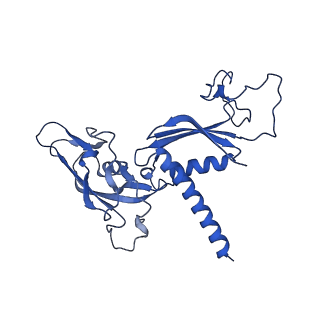 33436_7xsx_C_v1-2
RNA polymerase II elongation complex transcribing a nucleosome (EC49)