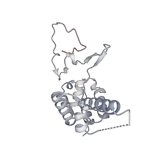33436_7xsx_D_v1-2
RNA polymerase II elongation complex transcribing a nucleosome (EC49)