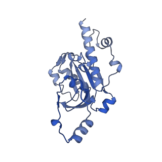 33436_7xsx_E_v1-2
RNA polymerase II elongation complex transcribing a nucleosome (EC49)