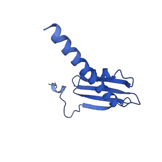 33436_7xsx_K_v1-2
RNA polymerase II elongation complex transcribing a nucleosome (EC49)
