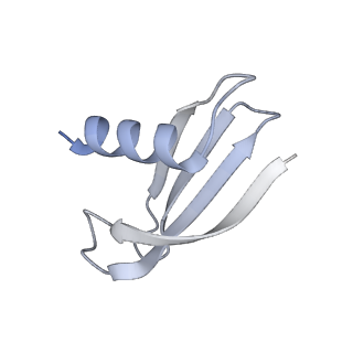 33436_7xsx_M_v1-2
RNA polymerase II elongation complex transcribing a nucleosome (EC49)