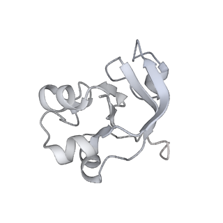 33436_7xsx_V_v1-2
RNA polymerase II elongation complex transcribing a nucleosome (EC49)