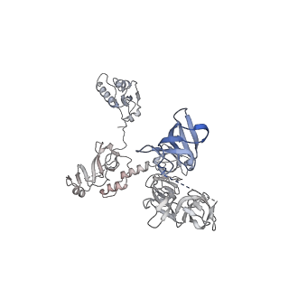 33436_7xsx_W_v1-2
RNA polymerase II elongation complex transcribing a nucleosome (EC49)