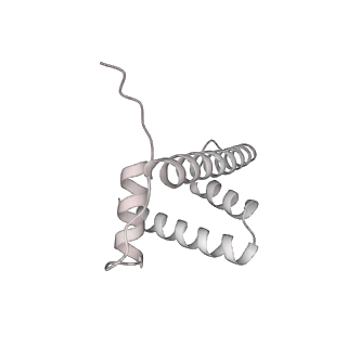 33436_7xsx_d_v1-2
RNA polymerase II elongation complex transcribing a nucleosome (EC49)