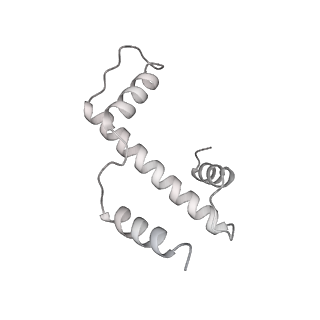 33436_7xsx_e_v1-2
RNA polymerase II elongation complex transcribing a nucleosome (EC49)