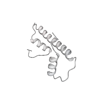 33436_7xsx_f_v1-2
RNA polymerase II elongation complex transcribing a nucleosome (EC49)